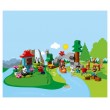 LEGO DUPLO Town 10907 - Животни по света, снимка 6
