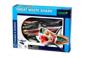 Thames & Kosmos - Конструирай анатомичен модел на бяла акула